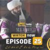 Sultan Muhammad Fatih Episode 25 (Season 2) Urdu Subtitle